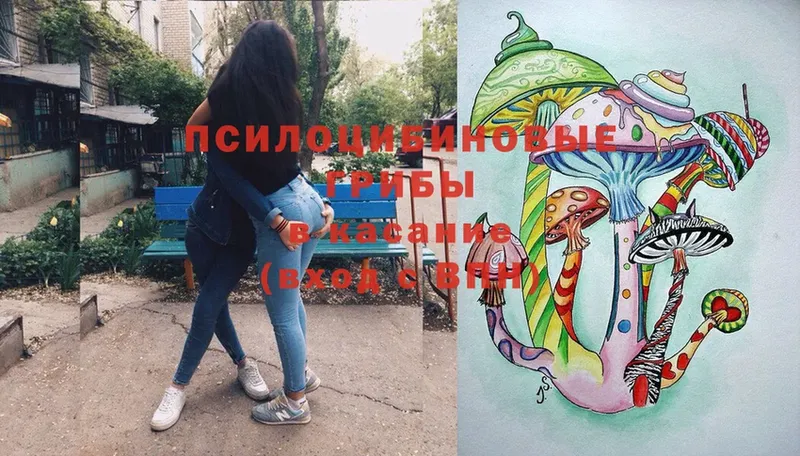 omg ССЫЛКА  Венёв  Псилоцибиновые грибы прущие грибы  купить наркотик 